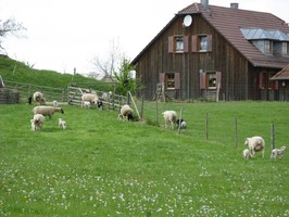 Landschaftspflegehof Schäferei