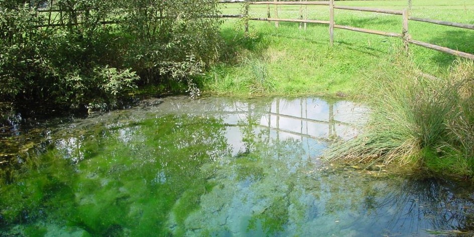 Gründischer Brunnen